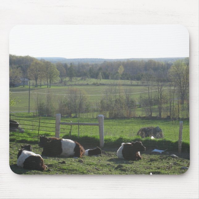 Handsome Herd of Belties Relaxing Mouse Pad (Front)