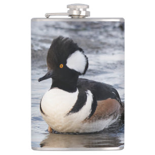 Handsome Hooded Merganser on the Move Hip Flask