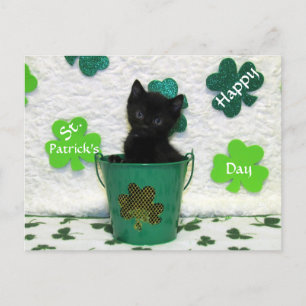 Handsome Jack's St. Patrick's Day Cat / Kitten Postcard
