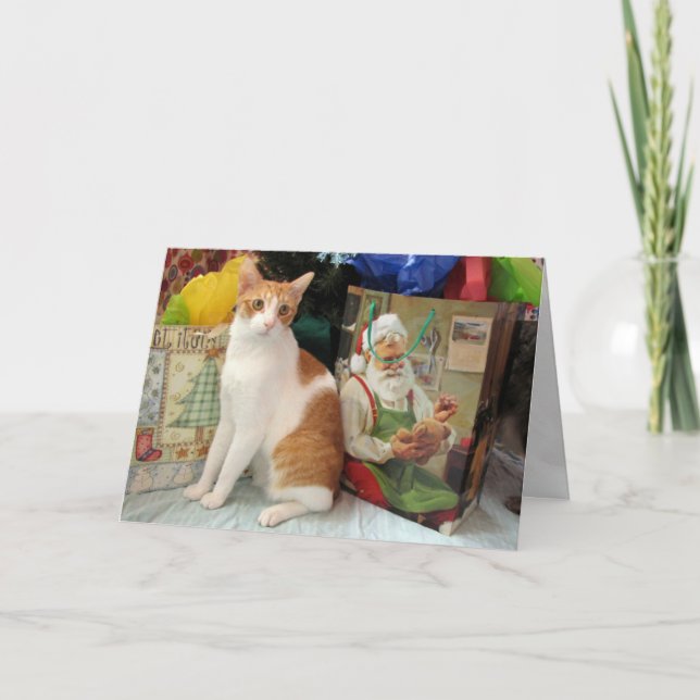 Handsome Kagan Brings Gifts - Cat Christmas Card (Front)