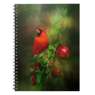 Handsome Male Cardinal Notebook
