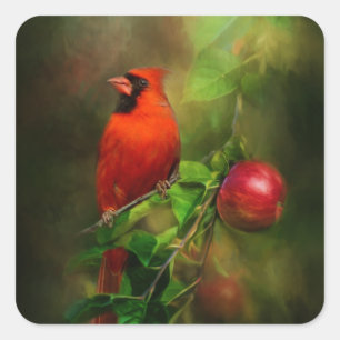 Handsome Male Cardinal Square Sticker