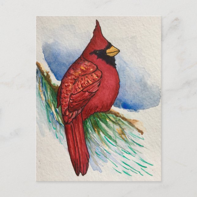 Handsome Northern Cardinal Red Bird Postcard (Front)