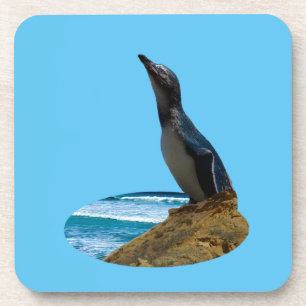 Handsome Penguin, Coaster