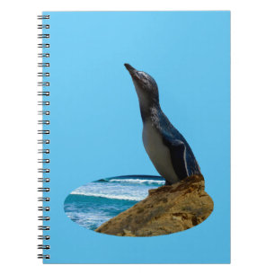 Handsome Penguin, Notebook