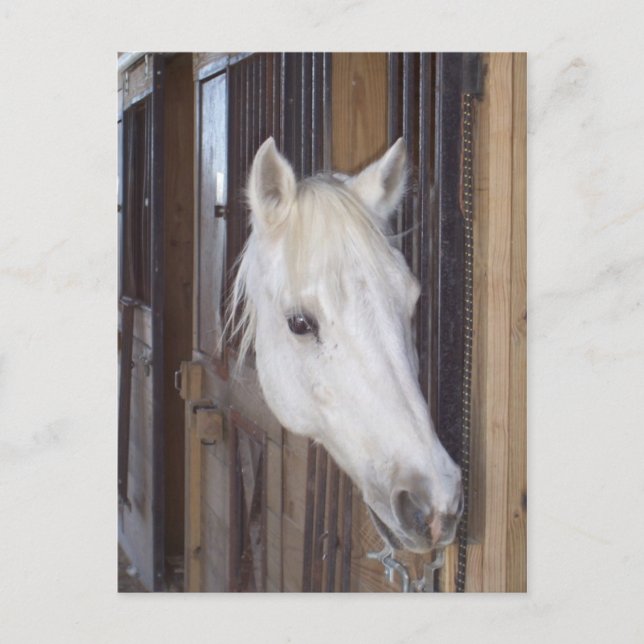 Handsome Postcard (Front)