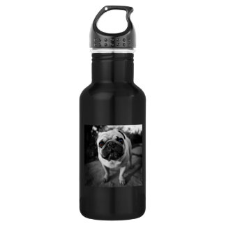 Handsome Pug 532 Ml Water Bottle