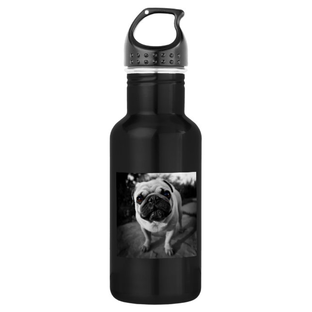 Handsome Pug 532 Ml Water Bottle (Front)
