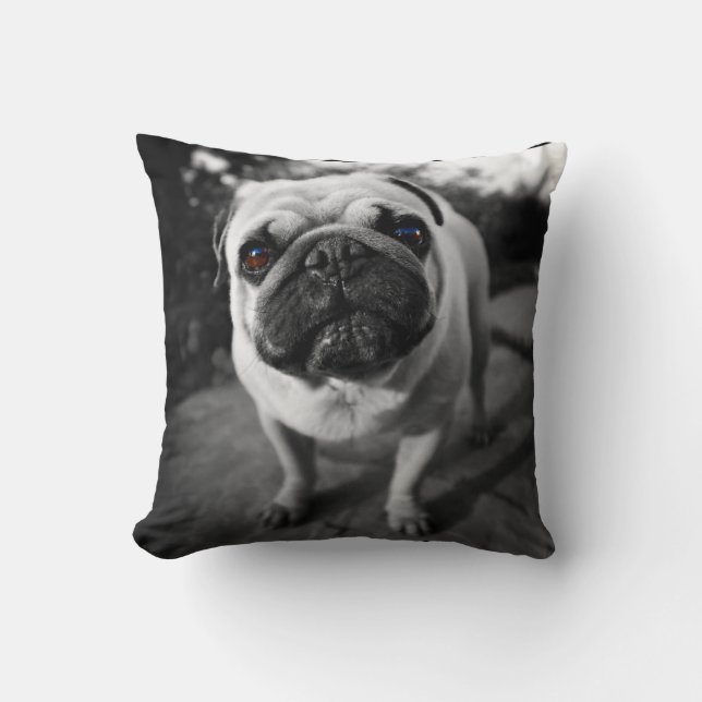 Handsome Pug Cushion (Front)