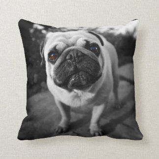 Handsome Pug Cushion