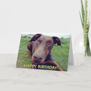 Handsome red doberman birthday card