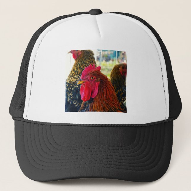 Handsome Rooster Trucker Hat (Front)