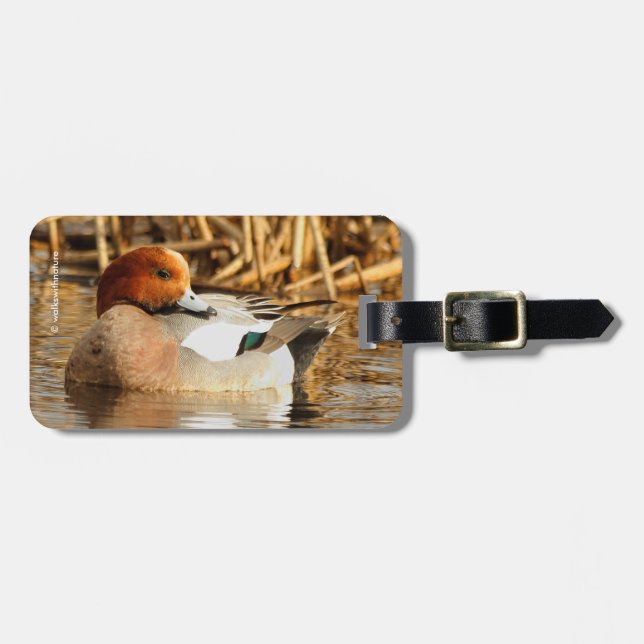 Handsome Stranger in Town Eurasian Wigeon Luggage Tag (Front Horizontal)