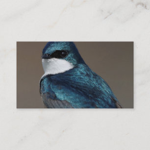 Handsome Tree Swallow: Bird on a Wire Business Card