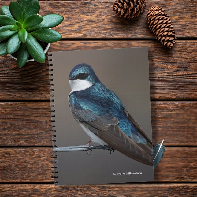 Handsome Tree Swallow: Bird on a Wire Spiral Notebook (Handsome Tree Swallow on a Wire Journal Cover Photo)