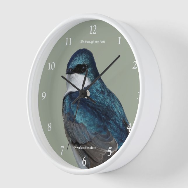 Handsome Tree Swallow Songbird on a Wire Clock (Angle)