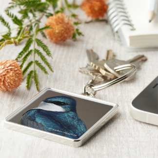 Handsome Tree Swallow Songbird on a Wire Key Ring