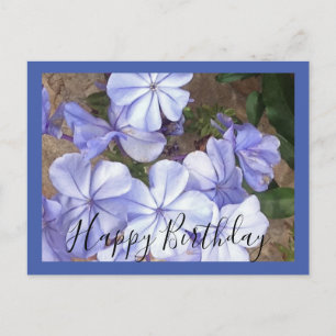 Handwritten Blue Flower  Postcard