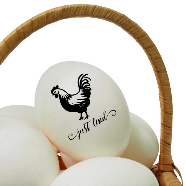 Handwritten  "Just Laid" Mini Chicken Egg Stamp (Creator Uploaded)