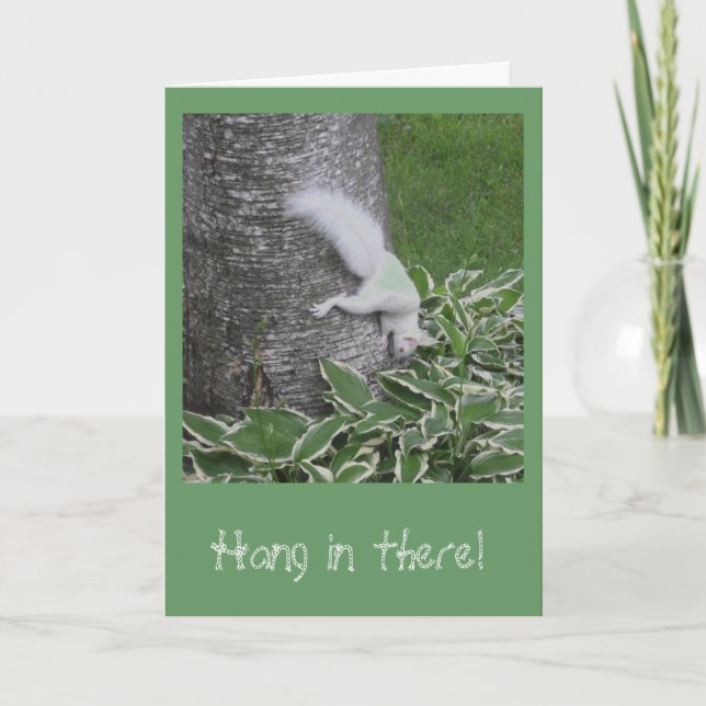 Hang in there card (Front)
