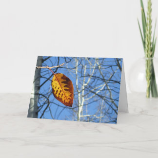 Hang In There! Card