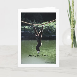 Hang In There Card