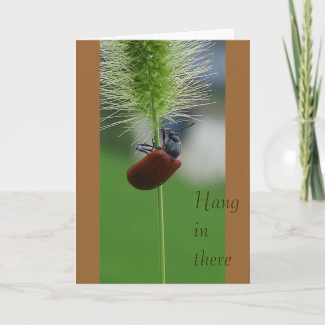 Hang in there card (Front)