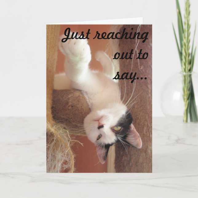 Hang in there! Cat Greeting Card (Front)