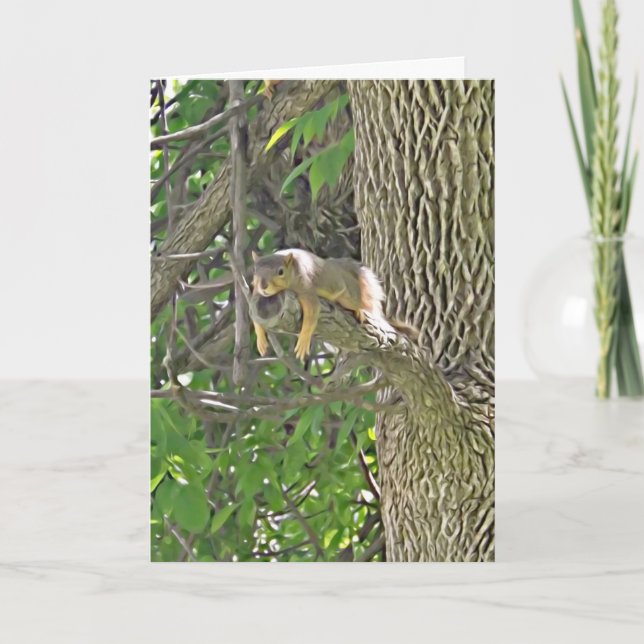 Hang in There Cute Squirrel in Tree Support Card (Front)