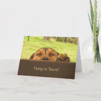 Hang In There Encouragement Cute Pitbull Dog