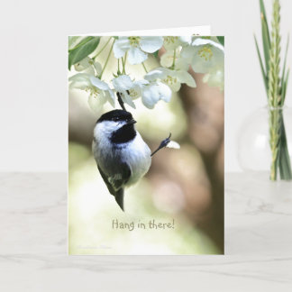 Hang in there!-Encouragement/Get-Well: Card