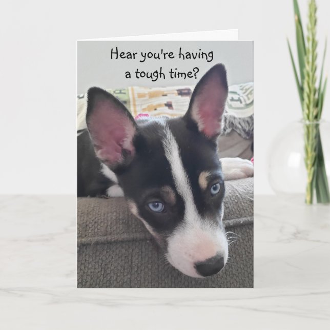 Hang in There, Get Well Card, Cute Puppy Card (Front)