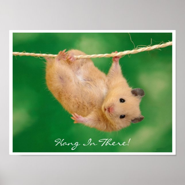 Hang in There Hamster Poster (Front)