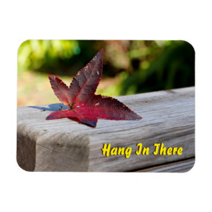 Hang in There Leave Magnet