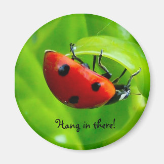 Hang in there! magnet