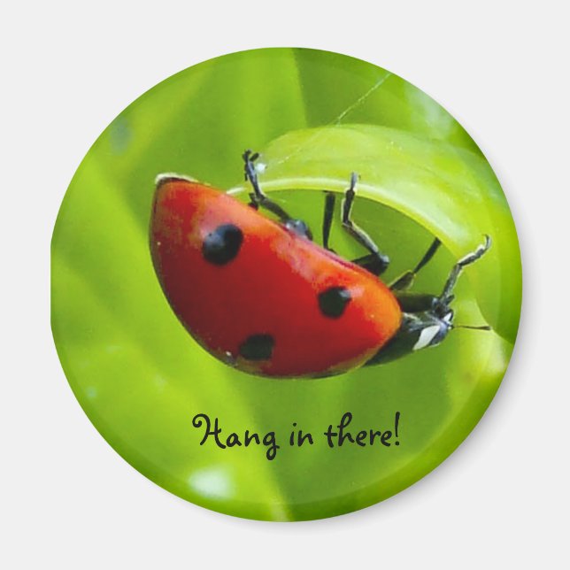 Hang in there! magnet (Front)