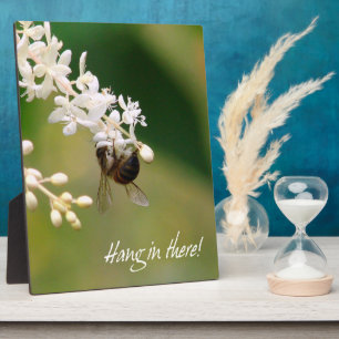 "Hang in There" Motivational Plaque