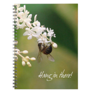 "Hang in There" Notebook