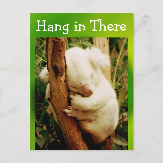 hang in there postcard (Front)