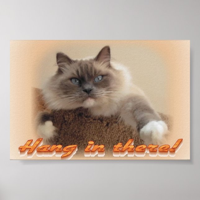 Hang in There! Poster (Front)