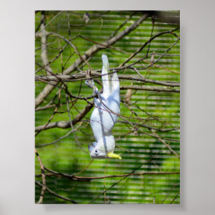 Hang in There Poster
