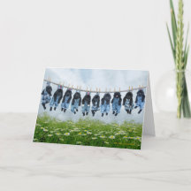 Hang in there puppy greeting card