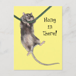 Hang In There Rat Postcard