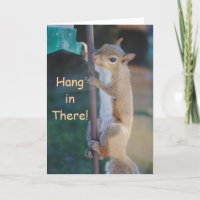 Hang in There, Squirrel hanging on bird feeder