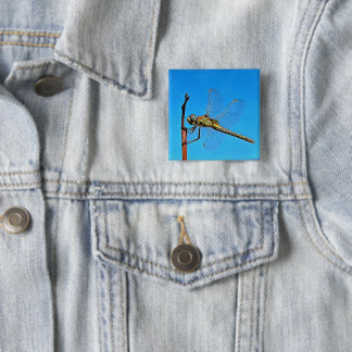 Hang On Artistic Dragonfly Against Cerulean Blue 15 Cm Square Badge