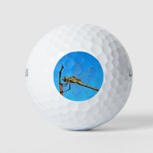 Hang On Artistic Dragonfly Against Cerulean Blue Golf Balls