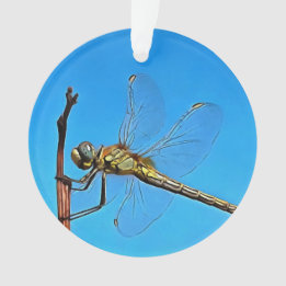 Hang On Artistic Dragonfly Against Cerulean Blue Ornament
