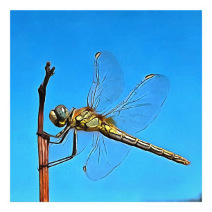 Hang On Artistic Dragonfly Against Cerulean Blue Photo Print