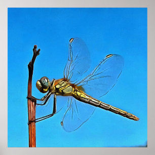 Hang On Artistic Dragonfly Against Cerulean Blue Poster