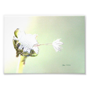 Hang On - Faux Embossed Photo Print